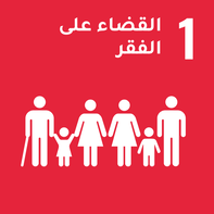 القضاء على الفقر