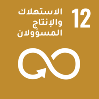 الاستهلاك والإنتاج المسؤولان