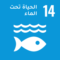 الحياة تحت الماء